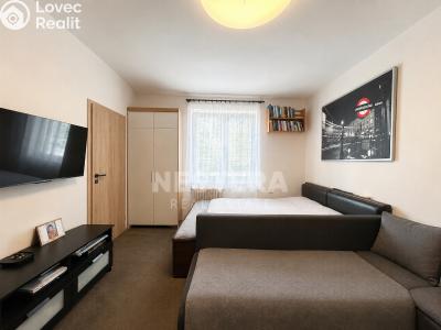 Sale apartment 2+1 Praha, Kounická č. 6