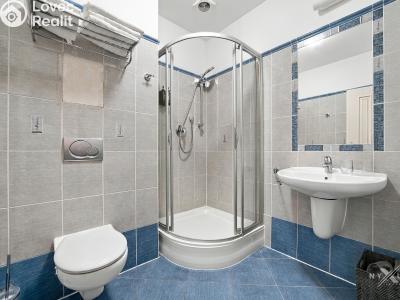 Sale apartment 1+KK Praha, Balbínova č. 6