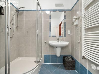 Sale apartment 1+KK Praha, Balbínova č. 8