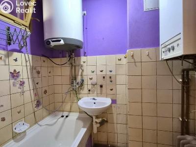 Prodej bytu 2+1 Stříbro, Západní Předměstí 868 č. 17