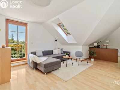 Продаж сімейного будинку Mirošovice, Na Ježově 334 č. 16