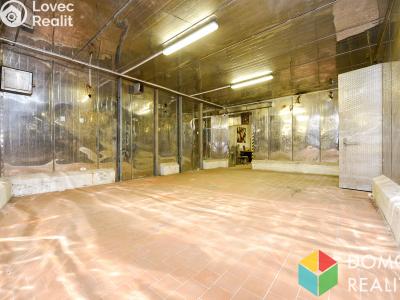 Продаж складу Hořovice, nábřeží Hynka Šlosara č. 7