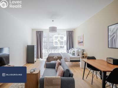 Аренда квартиры 1+KK Praha, Gerstelova č. 1