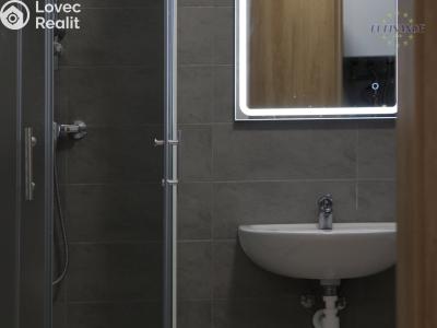 Rent apartment 2+KK Kladno, Jana Palacha 1620 č. 19