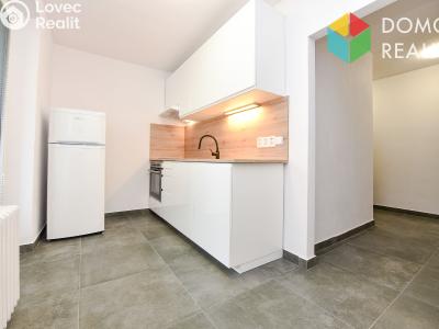 Оренда квартири 1+1 Plzeň, Pecháčkova č. 7
