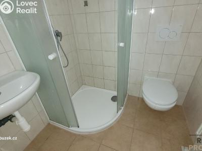 Аренда квартиры 1+KK Vyškov č. 3