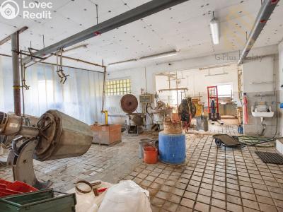 Продаж виробничого цеху Tisá č. 7