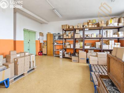 Продаж виробничого цеху Tisá č. 10