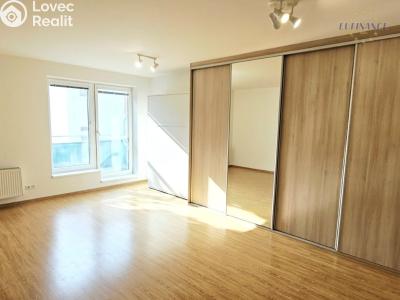 Sale apartment 1+KK Kralupy nad Vltavou, Cesta brigádníků 819 č. 6