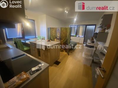 Оренда квартири 1+KK Praha-Dolní Chabry, K Beranovu č. 27