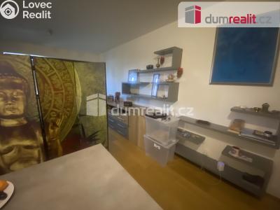 Оренда квартири 1+KK Praha-Dolní Chabry, K Beranovu č. 3