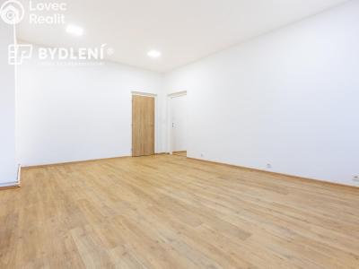 Prodej bytu 3+1 Teplice, Rokycanova č. 12