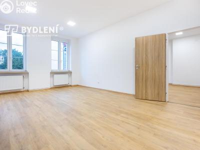Prodej bytu 3+1 Teplice, Rokycanova č. 13