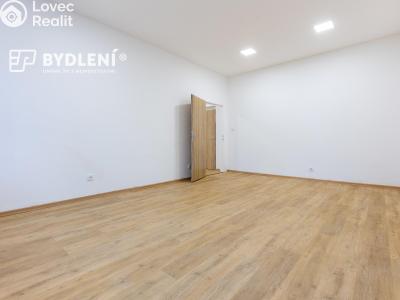 Prodej bytu 3+1 Teplice, Rokycanova č. 14