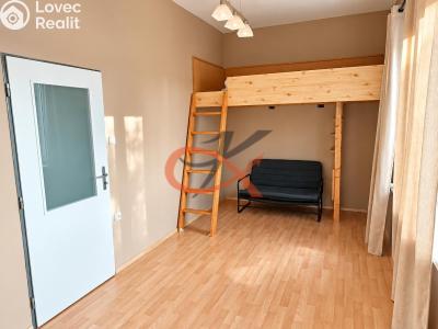 Sale apartment 1+1 Lipník nad Bečvou, Na Kopečku č. 3