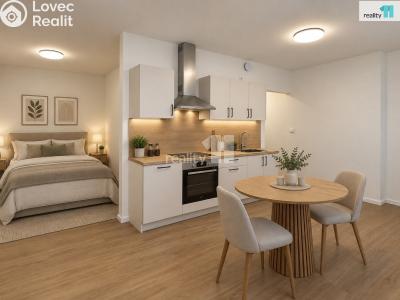 Sale apartment 1+KK Praha 9, Českobrodská č. 12