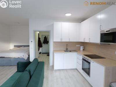 Pronájem bytu 1+KK Olomouc, Wolkerova č. 1