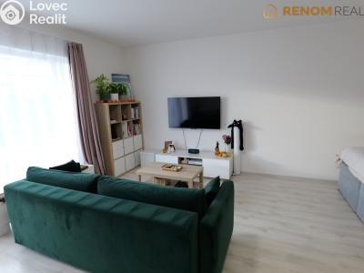 Pronájem bytu 1+KK Olomouc, Wolkerova č. 3