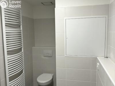 Pronájem bytu 1+KK Olomouc, Wolkerova č. 12