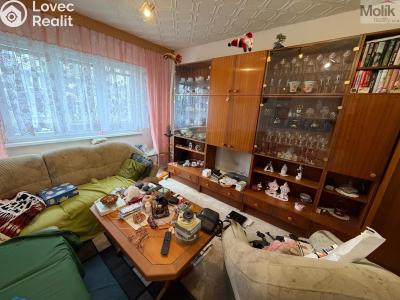 Prodej bytu 2+1 Bílina, M. Švabinského 605 č. 3