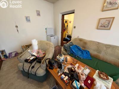 Prodej bytu 2+1 Bílina, M. Švabinského 605 č. 4