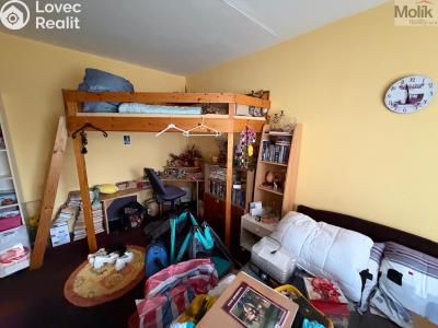Prodej bytu 2+1 Bílina, M. Švabinského 605 č. 6