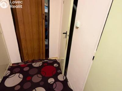 Prodej bytu 2+1 Bílina, M. Švabinského 605 č. 7
