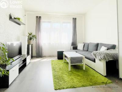 Rent apartment 2+1 Ostrov, S. K. Neumanna č. 1