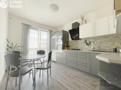 Rent apartment 2+1 Ostrov, S. K. Neumanna č. 2