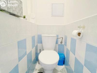 Rent apartment 2+1 Ostrov, S. K. Neumanna č. 5