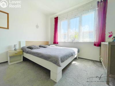 Rent apartment 2+1 Ostrov, S. K. Neumanna č. 8