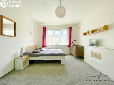 Rent apartment 2+1 Ostrov, S. K. Neumanna č. 9