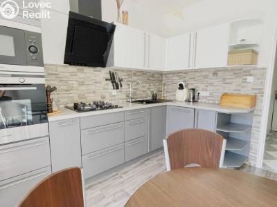 Rent apartment 2+1 Ostrov, S. K. Neumanna č. 10
