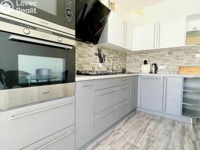 Rent apartment 2+1 Ostrov, S. K. Neumanna č. 12