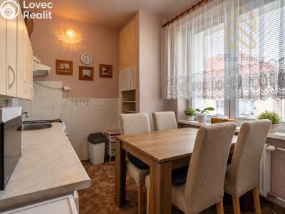 Prodej bytu 2+1 Jirkov, Ervěnická 1042 č. 8