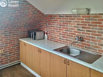 Rent hotel Velké Meziříčí, Malá stránka č. 2