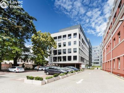Pronájem kanceláře Holubice č. 11