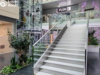Rent office space Praha, Vyskočilova č. 12