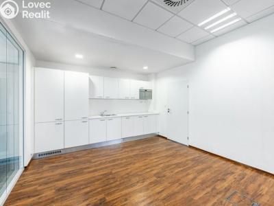 Rent office space Praha, Doudlebská č. 9
