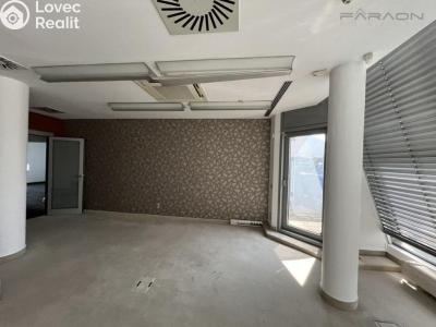 Rent office space Praha, Václavské náměstí č. 8