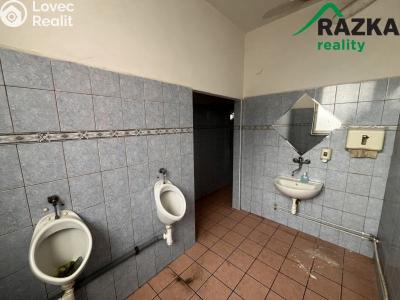Pronájem komerční nemovitosti Tachov č. 11
