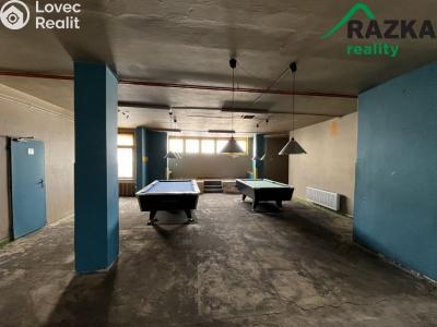 Pronájem komerční nemovitosti Tachov č. 13