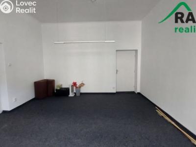 Pronájem kanceláře Mariánské Lázně č. 5