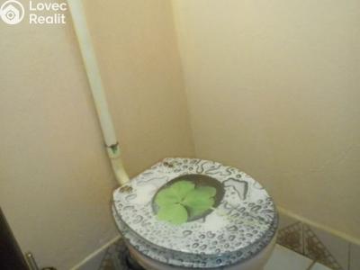 Продаж сімейного будинку Podlesí č. 13