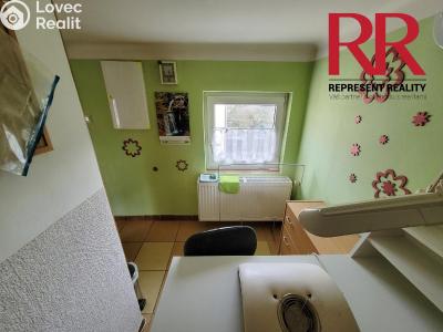 Pronájem komerční nemovitosti Plzeň, Masarykova č. 3