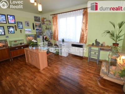 Prodej bytu 2+1 Lovosice, Wolkerova č. 1