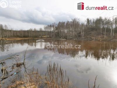 Sale pond Pomezí nad Ohří č. 8