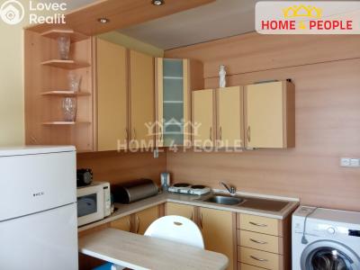 Rent apartment 1+KK Opava, Edvarda Beneše č. 1