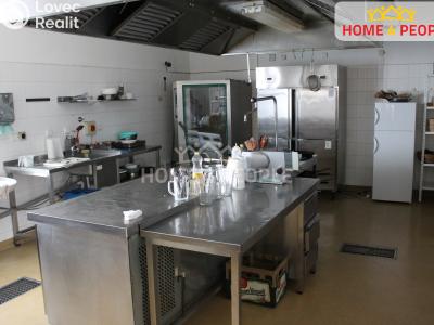 Prodej ubytovacího zařízení Veselí nad Lužnicí, A. Jiráska č. 13