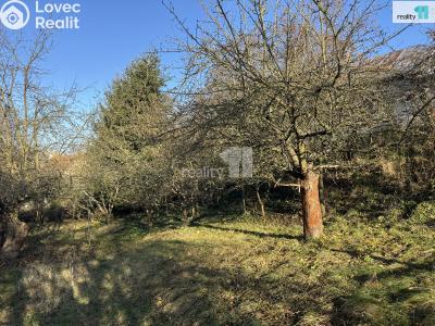 Sale family house Ledeč nad Sázavou, Havlíčkova č. 28